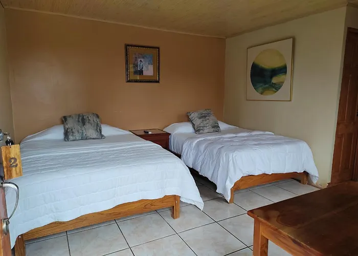Hotel del Bosque