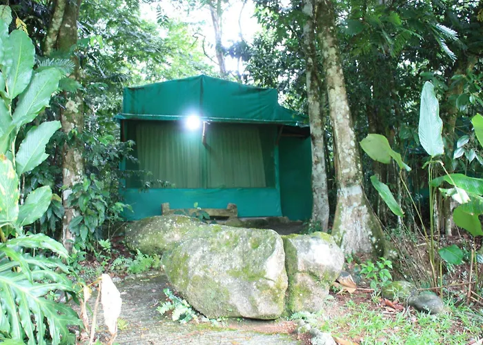 Hotel del Bosque
